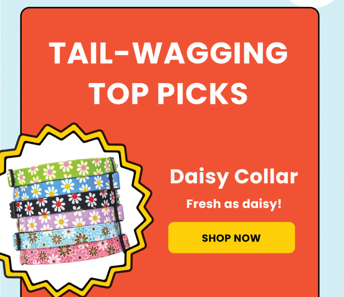 Tail wagging top picks!