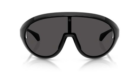 Moncler sunglasses