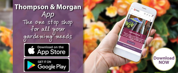 Thompson & Morgan App