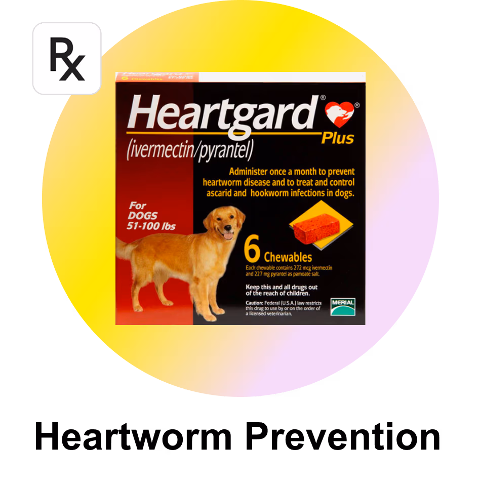 Heartworm Prevention