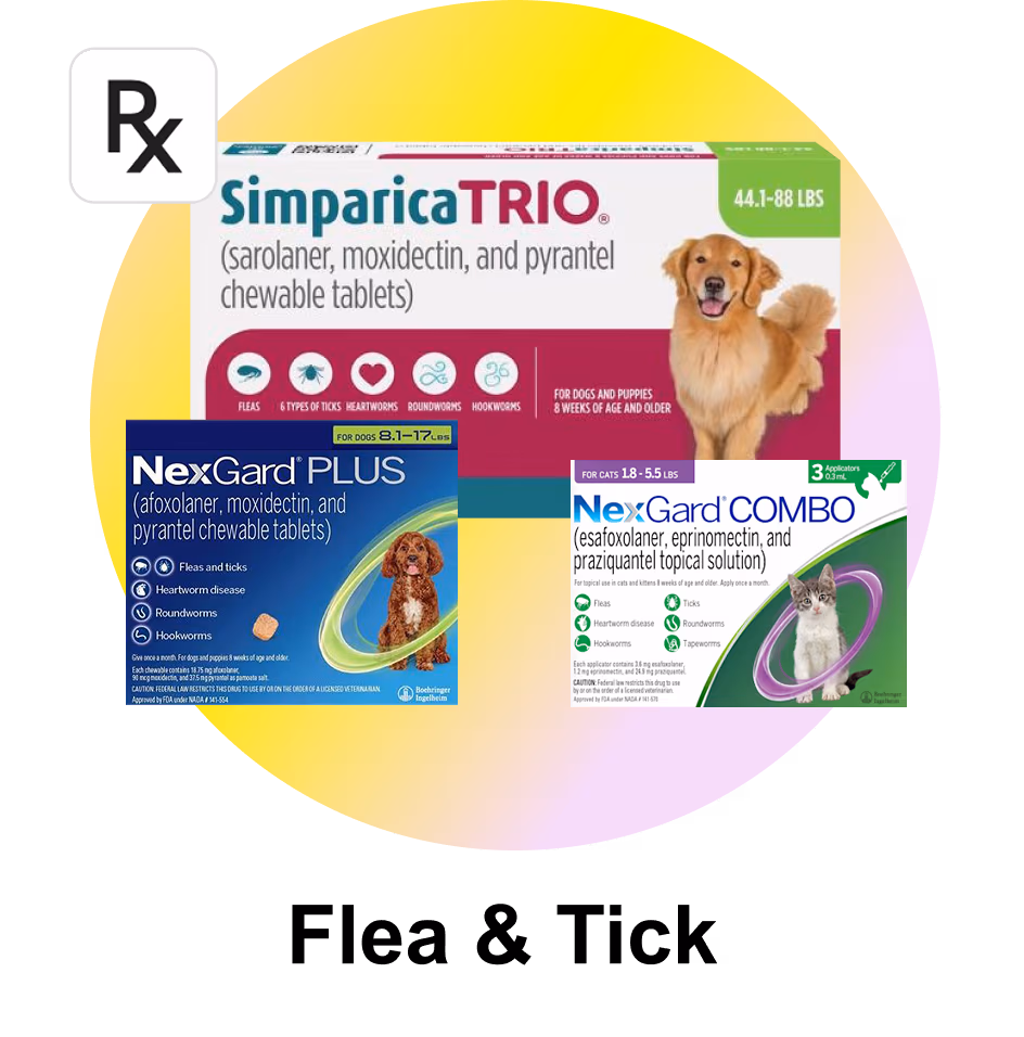 Flea & Tick