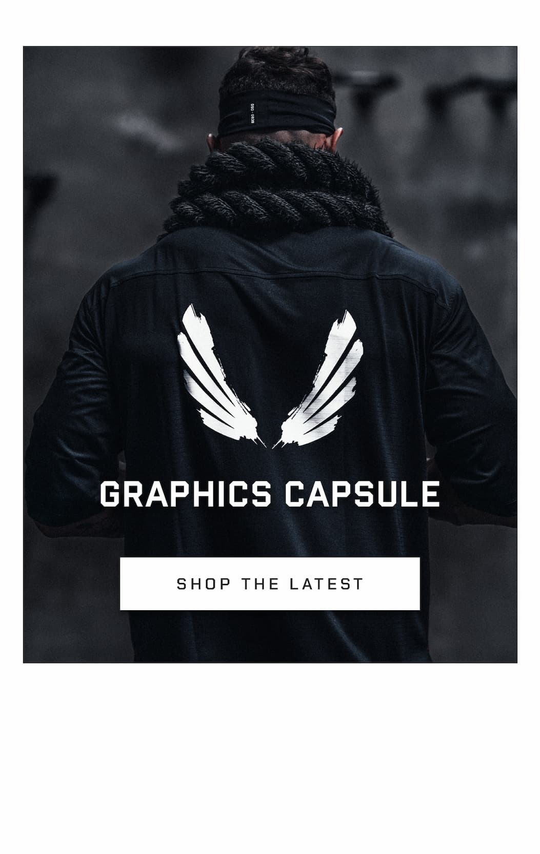 Graphic Capsule 