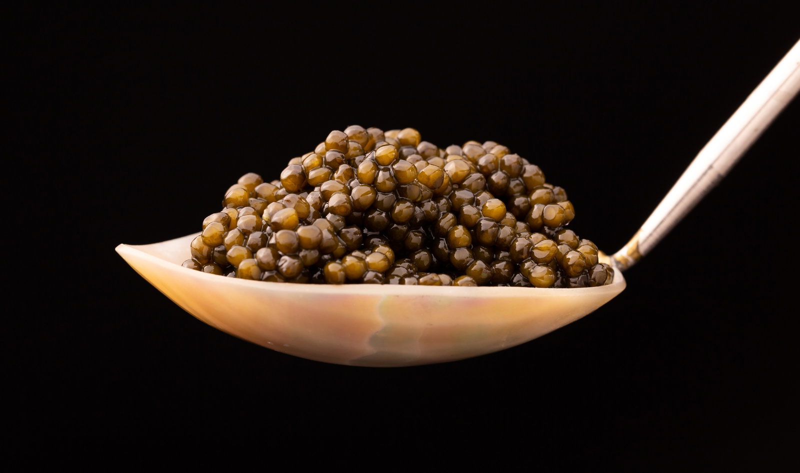 Imperia Caviar