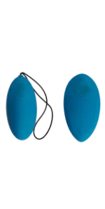 Remote Control Egg