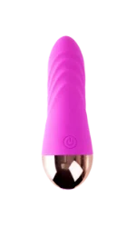 Moregasm+ Bullet