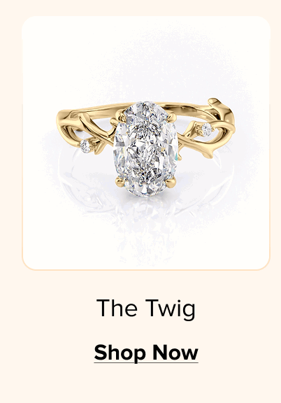 The Twig