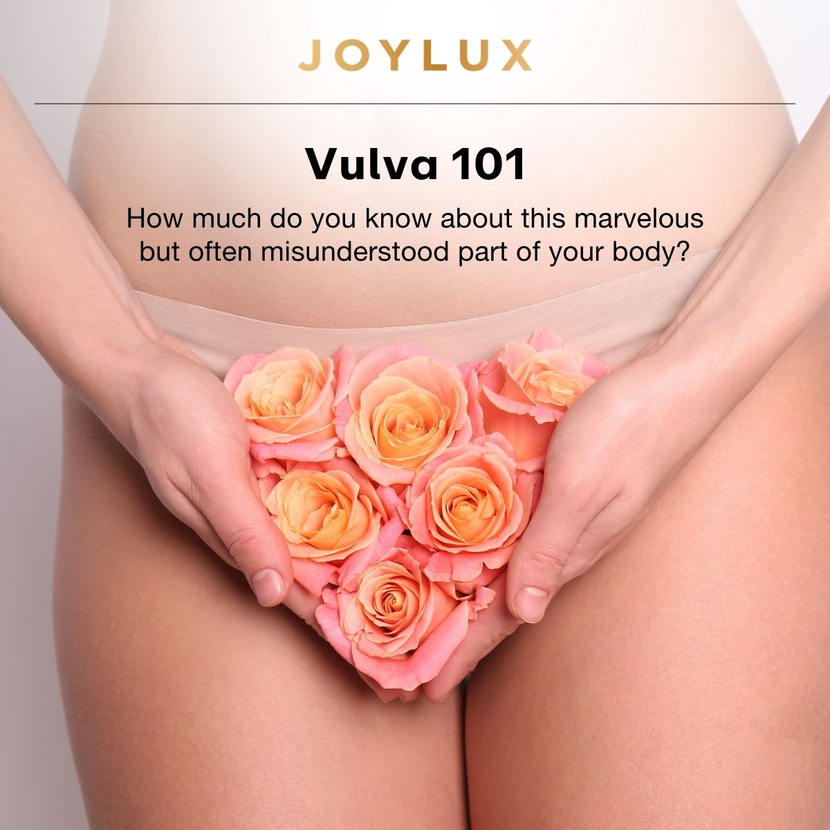 Vulva 101 - How much do you know about this marvelous, and often misunderstood, part of your body?