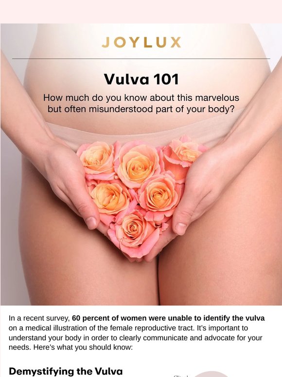Vulva 101: Up Close & Personal
