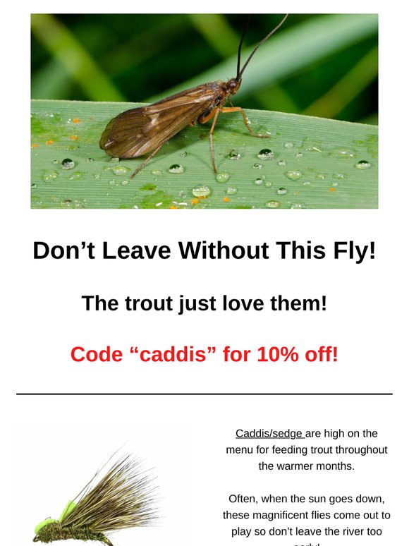 Catch A PB With This Fly!