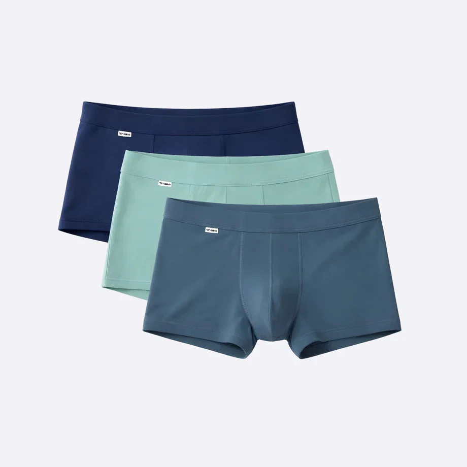 Limited Edition Trunk 3-Pack