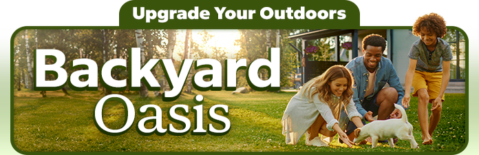 Backyard Oasis
