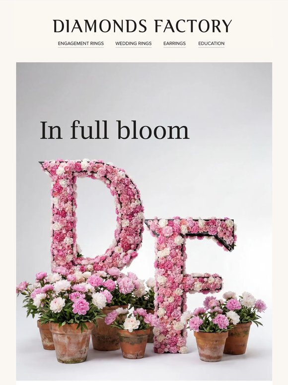 In Full Bloom