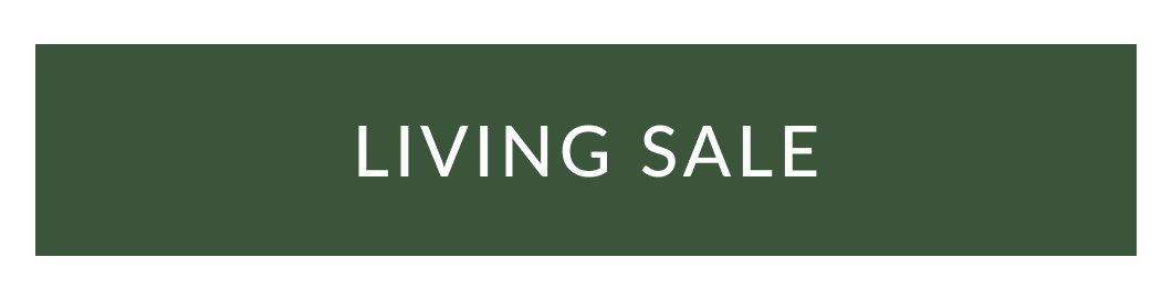 shop living