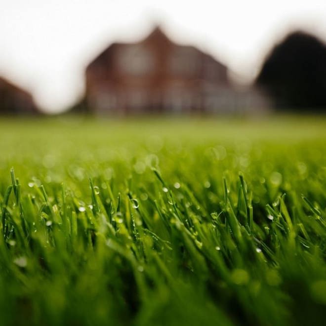 Lawncare