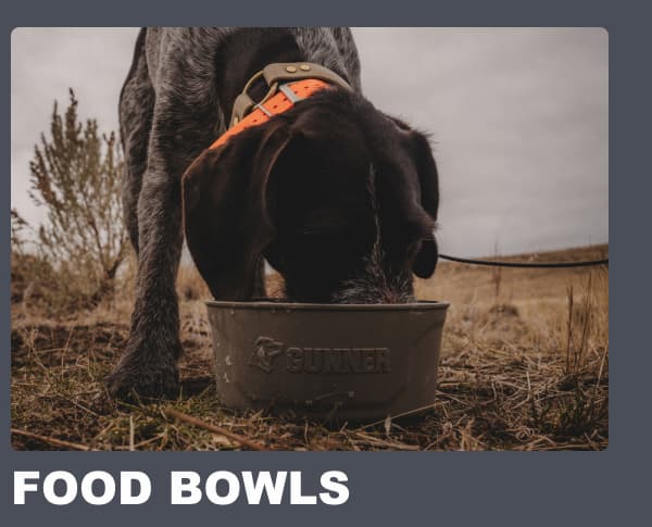 Food Bowls