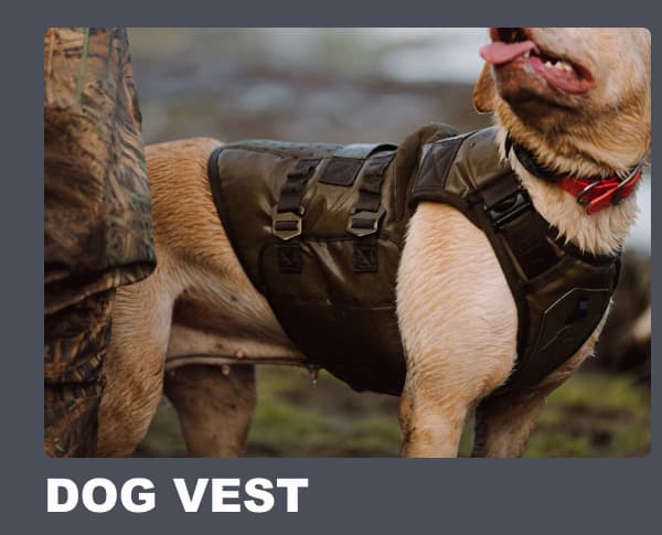 Dog Vest
