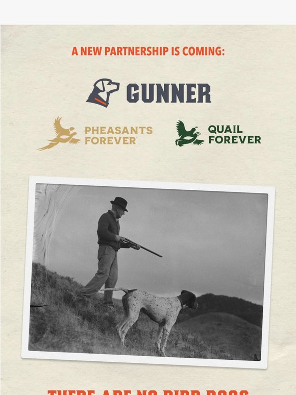 Something Big for Bird Dogs