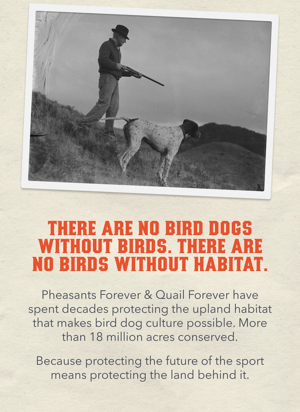 There are no bird dogs without birds. There are no birds without habitat. 