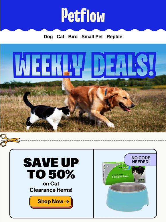 🎁 Open for Some Special Pet Deals!