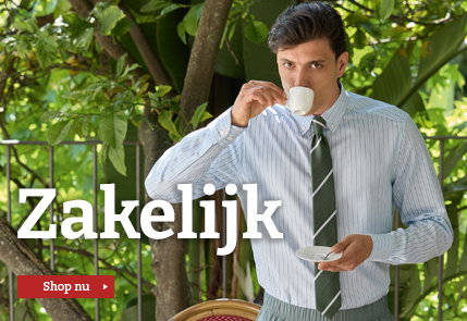 Zakelijke overhemden