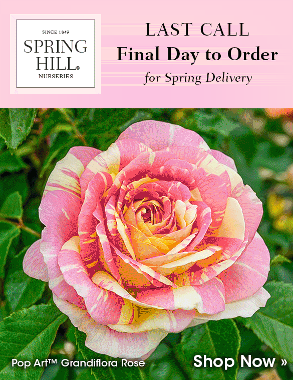 LAST DAY to order for spring delivery!