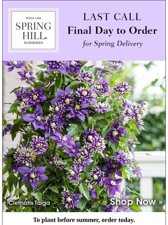 LAST DAY to order for spring delivery!