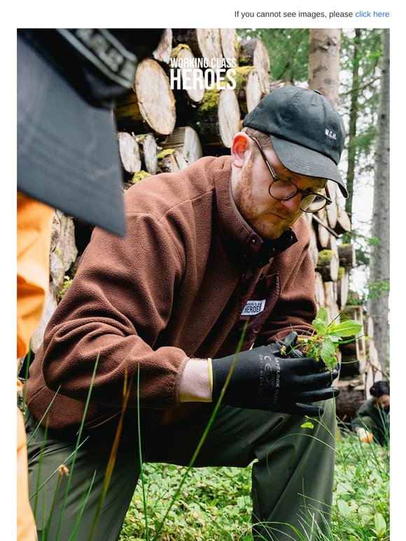 Balsam removal, back for the sequel