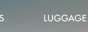 Luggage