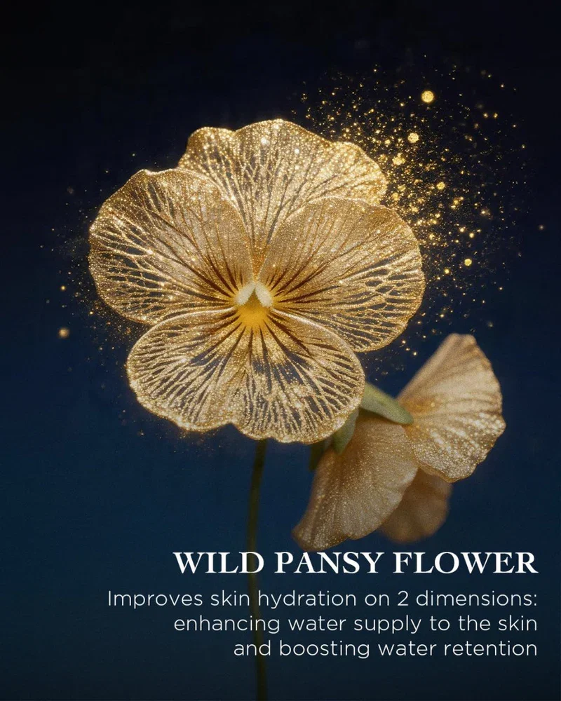 Wild Pansy Flower