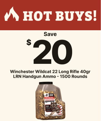 Save $20 on Winchester Wildcat 22 Long Rifle Ammo