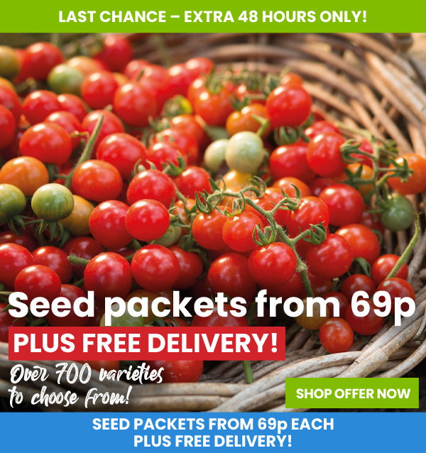 Seed Sale