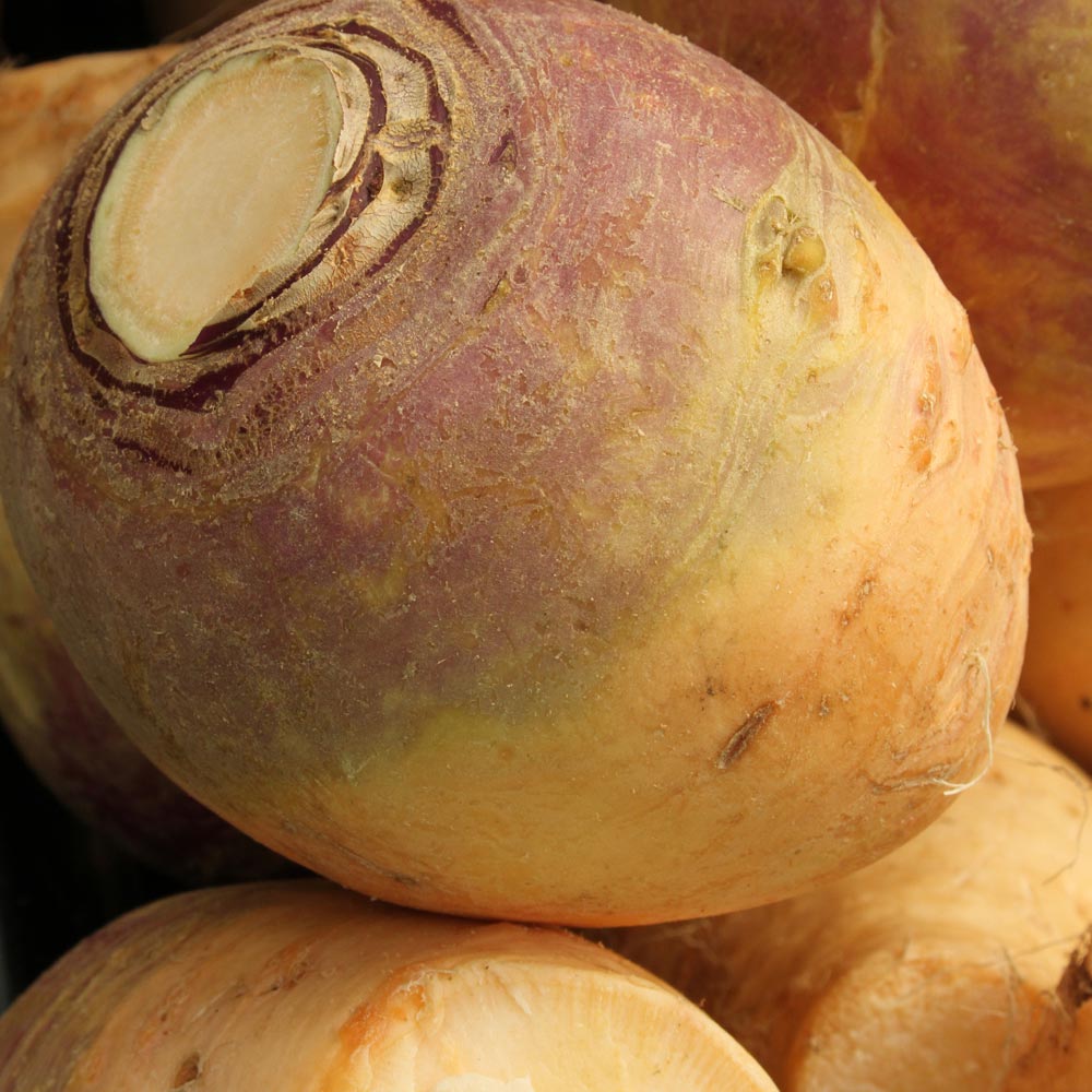 Swede 'Ruby'