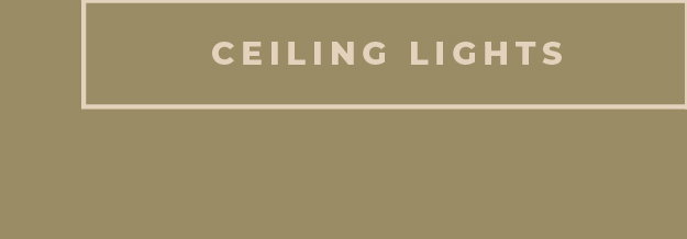 Ceiling Lights