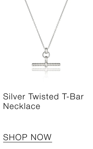 Silver Twisted T-Bar Necklace
