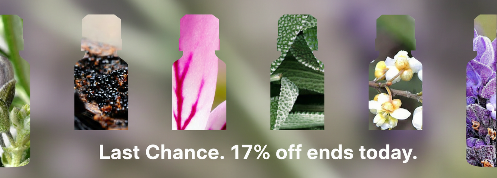 Bottles with floral patterns and text: "Last Chance. 17% off ends today."