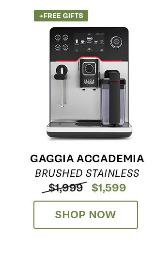 Gaggia Accademia in Brushed Stainless