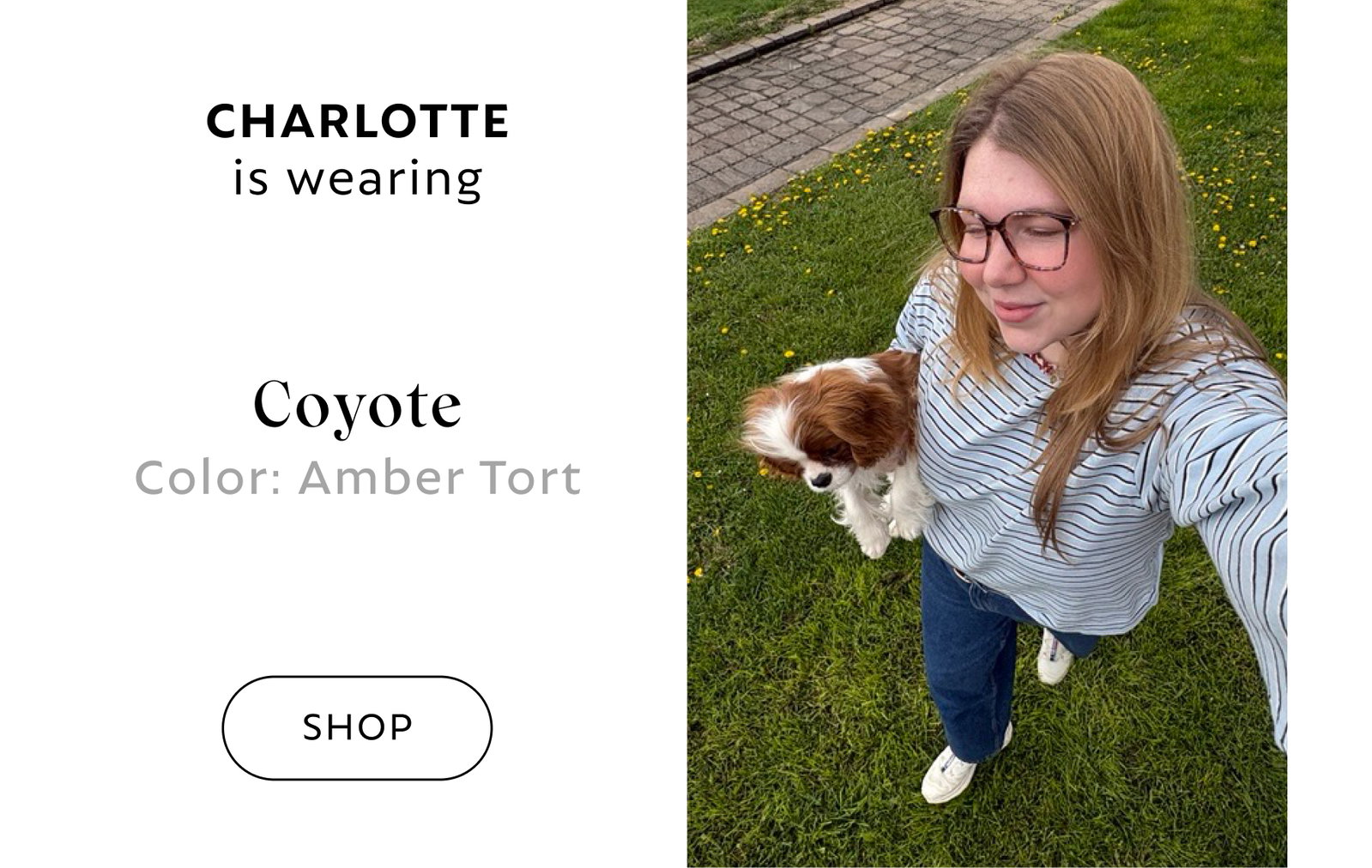 Coyote