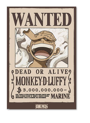 One Piece - Monkey D Luffy Wanted Poster