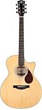 Save $100!  Kepma Elite Series GA2-232 Acoustic Guitar (with Gig Bag)