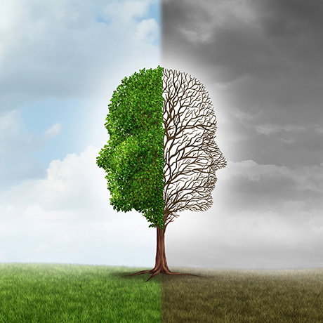 psychology courses image