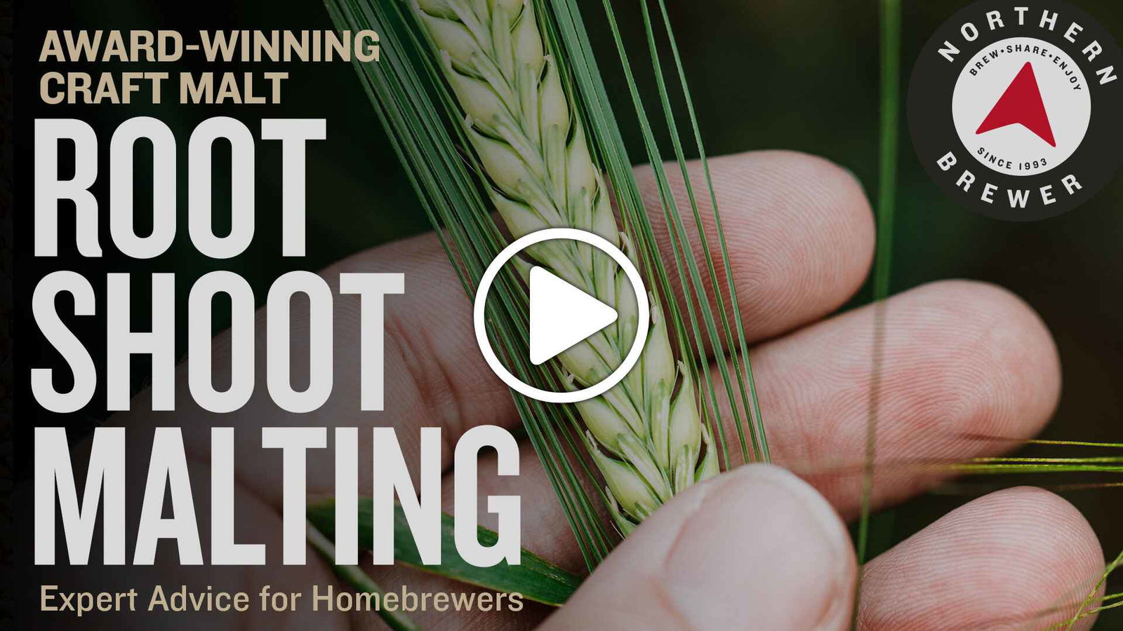 World-Class Craft Malt for Homebrewers | Root Shoot Malting