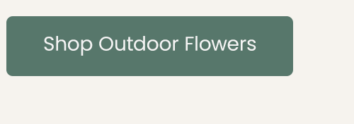 Shop Outdoor Flowers