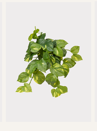 Artificial Pothos UV Treated Indoor/Outdoor Hanging Plant