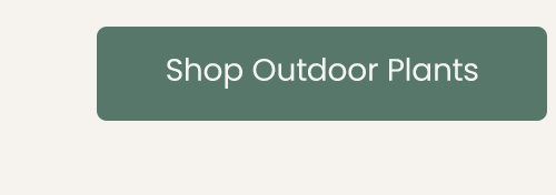 Shop Outdoor Plants 