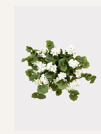 UV Treated Geranium Hanging Bush Outdoor Fake Plants 