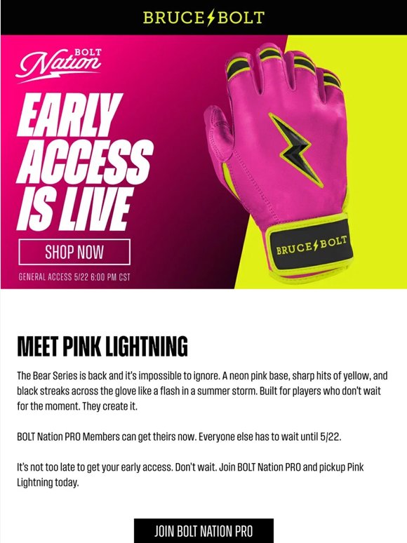 ⚡Pink Lightning Bear Series. Early Access Starts Now