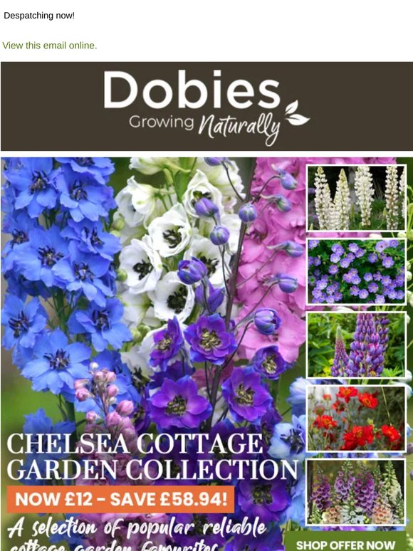 £70 Chelsea Cottage Garden Collection ONLY £12!