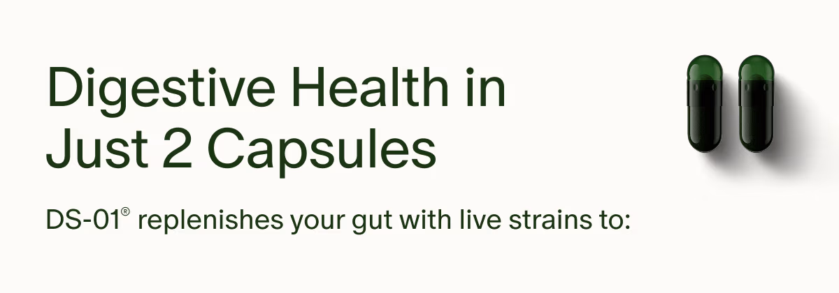 Digestive Health in Just 2 Capsules | DS-01® replenishes your gut with live strains to: