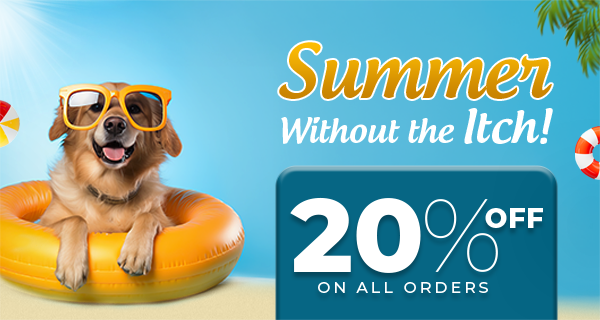 20% Off summer Offer