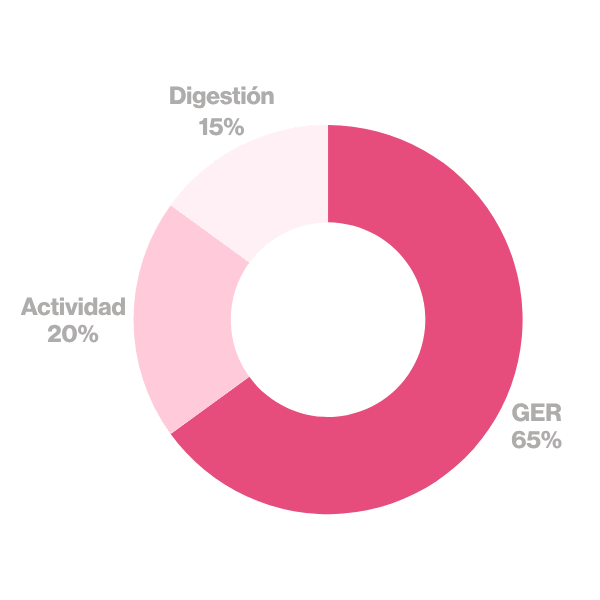 Tu quema GER es del 65%, la actividad un 20% y tu digestión un 15%